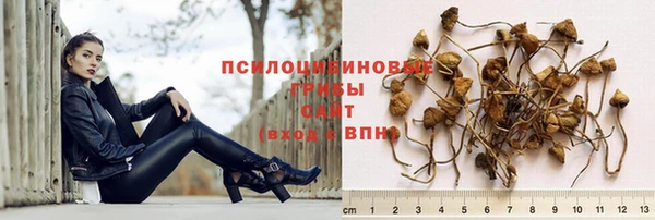 герыч Белокуриха